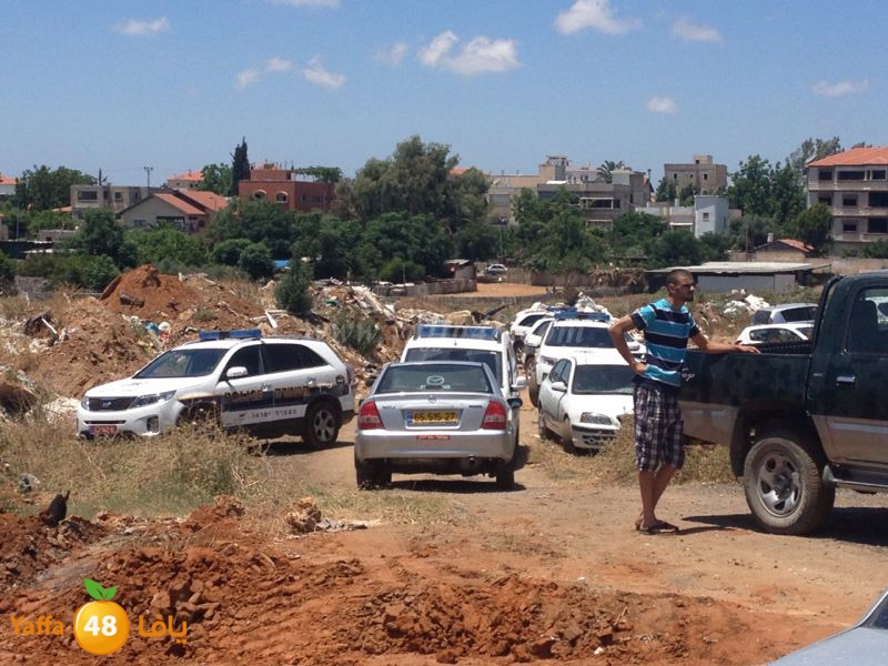 fight 2 famlilesi (2).JPG